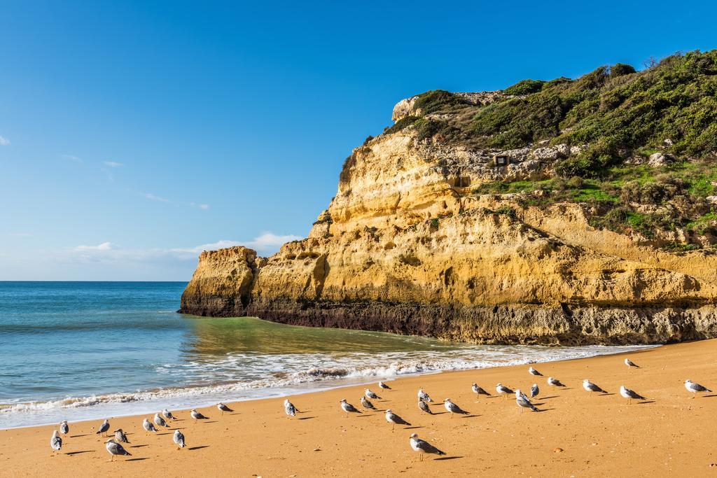 Sol E Mar Villa *