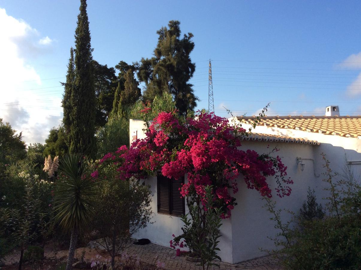 Villa Sol E Mar *